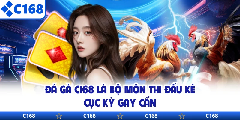 Đá gà C168 là bộ môn thi đấu kê cực kỳ gay cấn