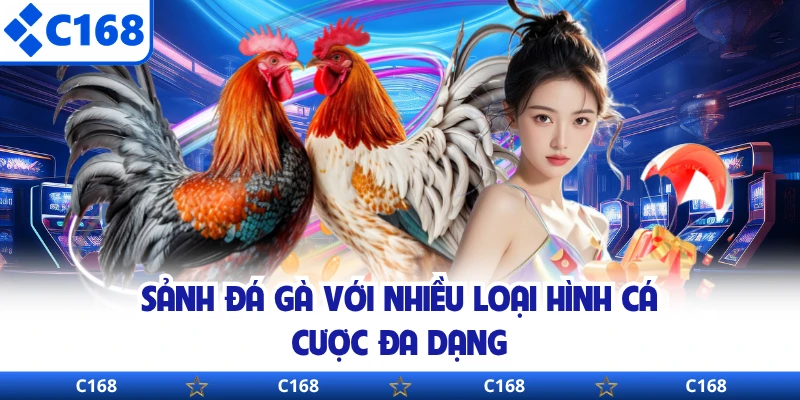 Sảnh đá gà với nhiều loại hình cá cược đa dạng